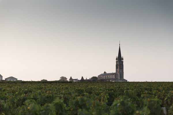 Chateau-Clinet-Weinberge-Pomerol